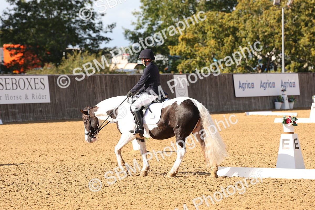 SBM_50432 - D12 - Small Tour Championship prelim 2