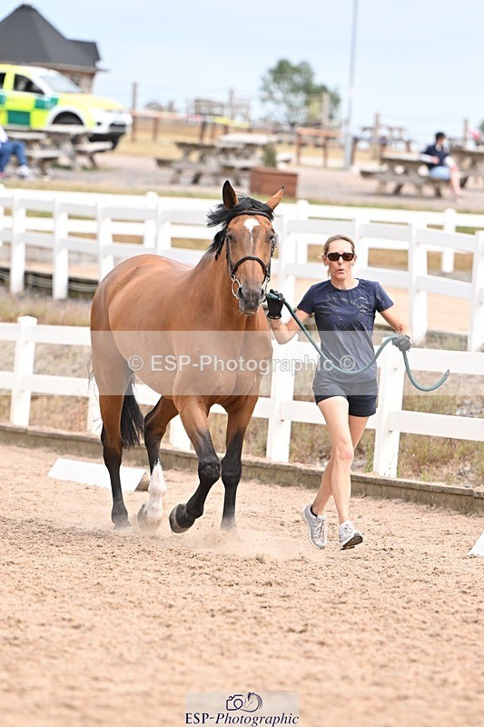 250716-153941-02094 - Trot Up 3.30 to 4.30