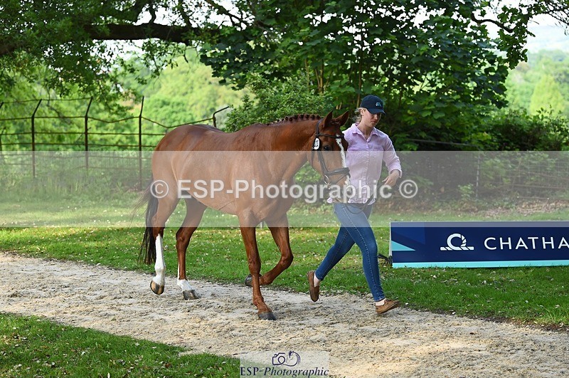 230525-173158-01506 - 323-CHESTNUT_BOBBY-Molly_Fletcher-WEDTrotUp+DR
