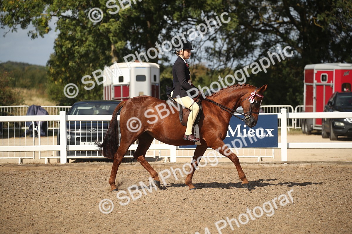 SBM_23003 - Class 603 - 2026 - Ridden Pre Vet