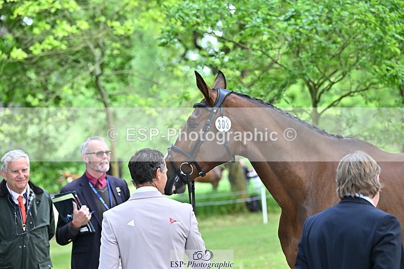 250521A-151053-00322 - B-303-Alexander.Bragg-SHANNONDALE.ALDO