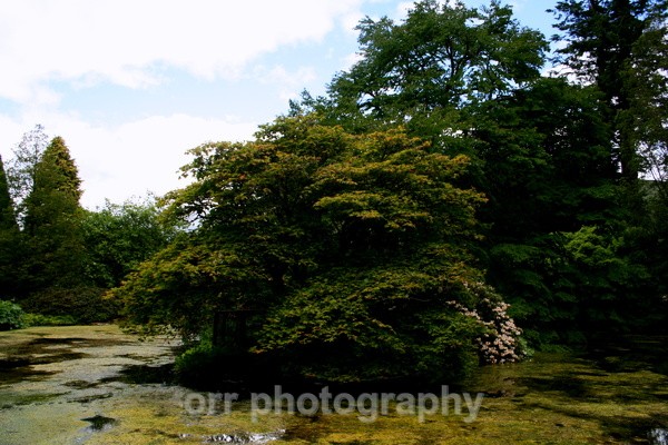  - Landscapes