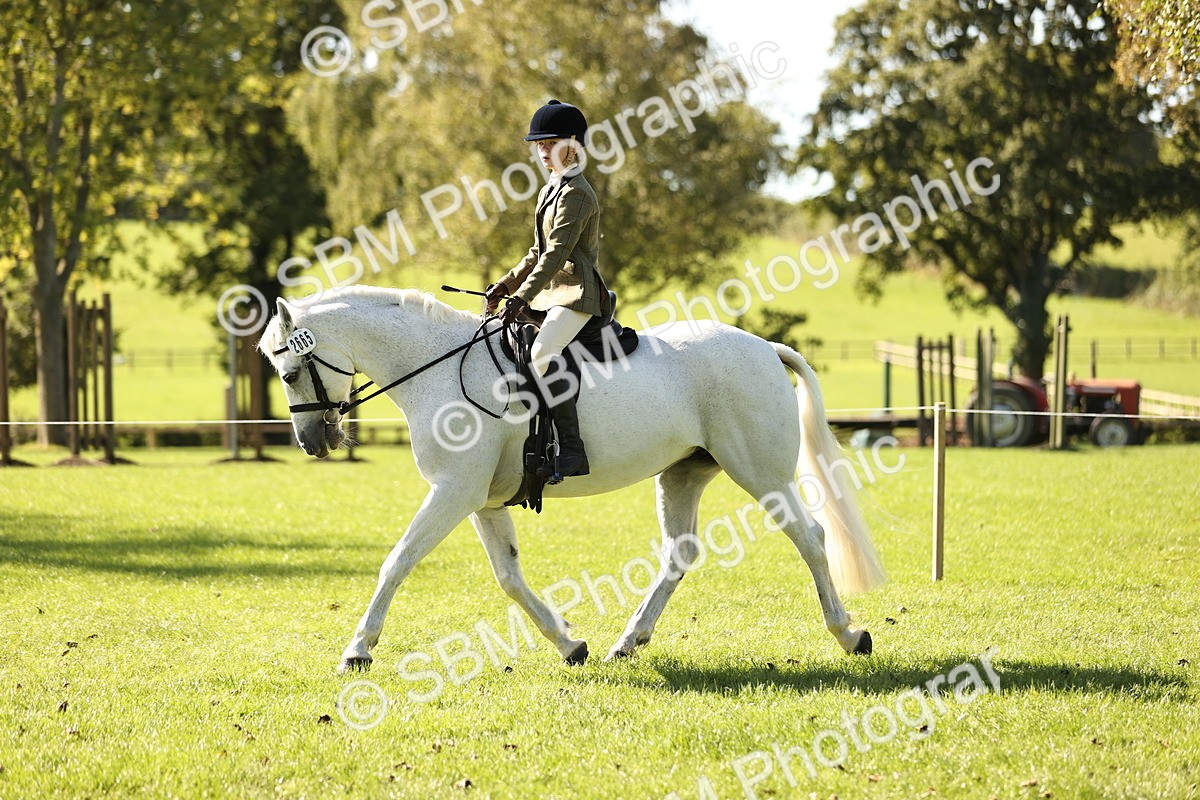 SBM_19087 - S3 - TSR Ridden Pony Showing