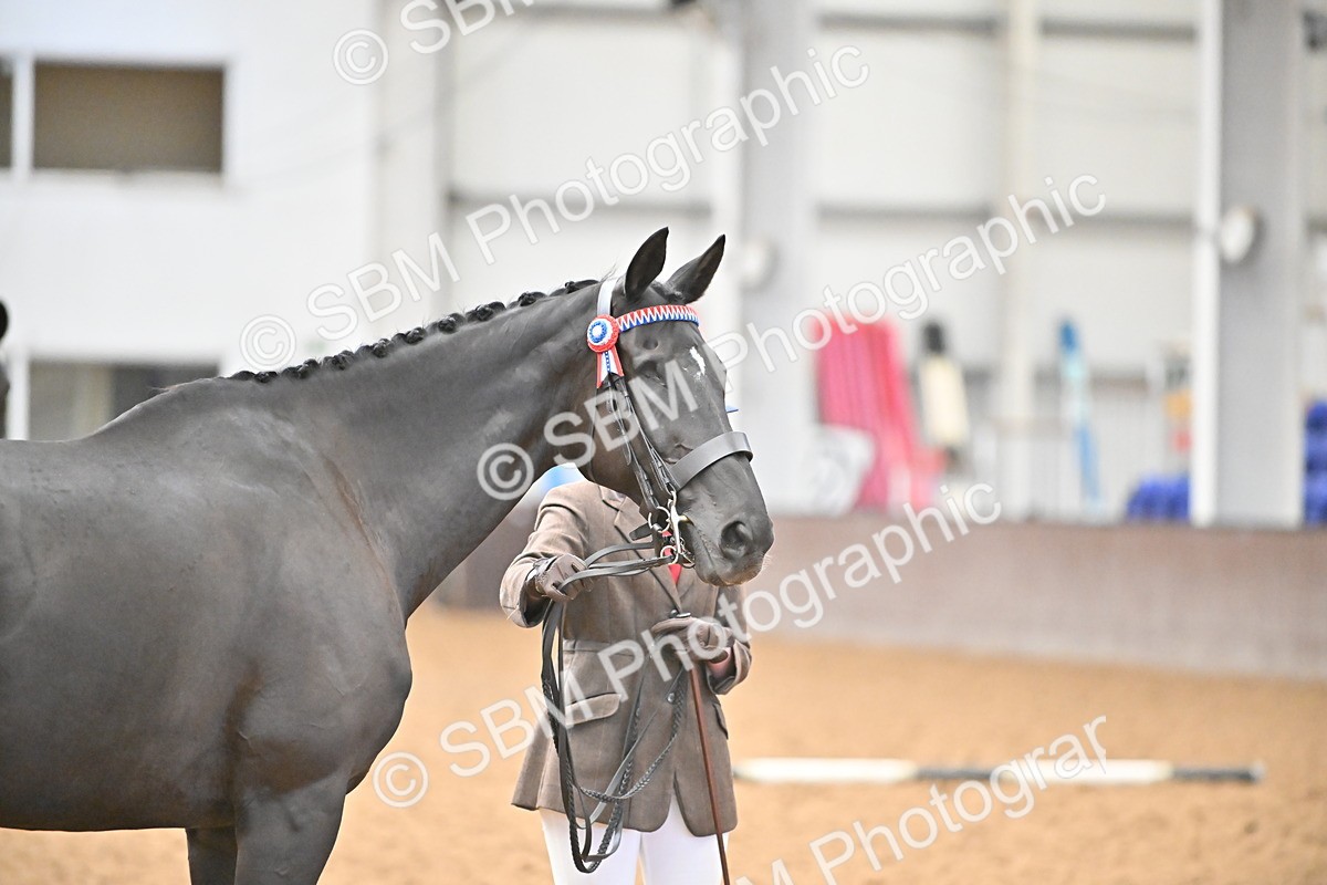 SBM_000234 - Class 7 - ROR Tattersalls In Hand