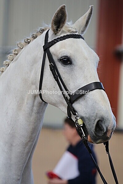 SIAL9971 - Indoor Classes