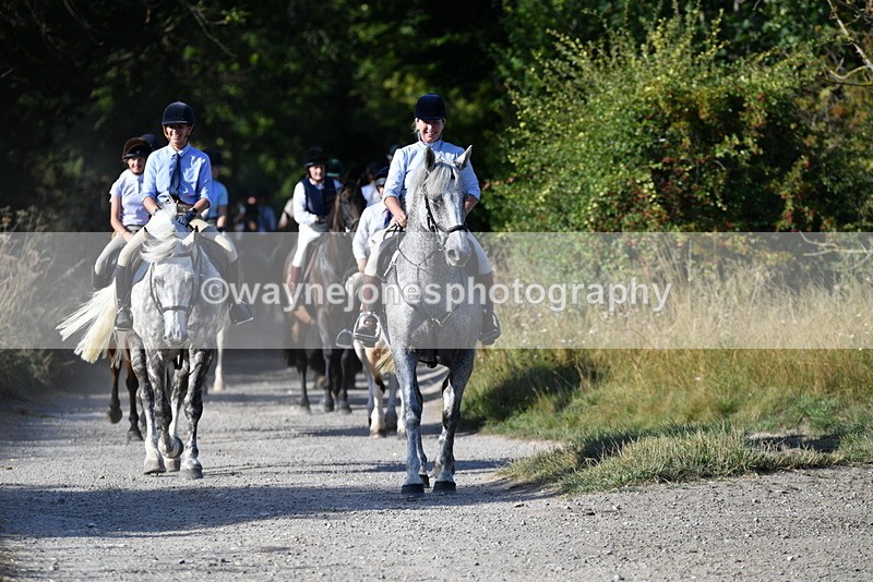 WJ5_4881 - Walk out with the hounds
