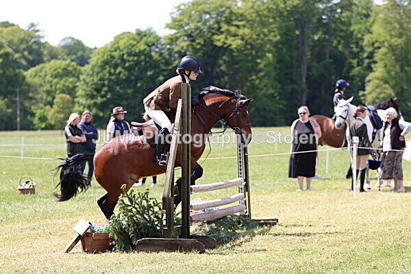 IMG_3724 - Working Hunter