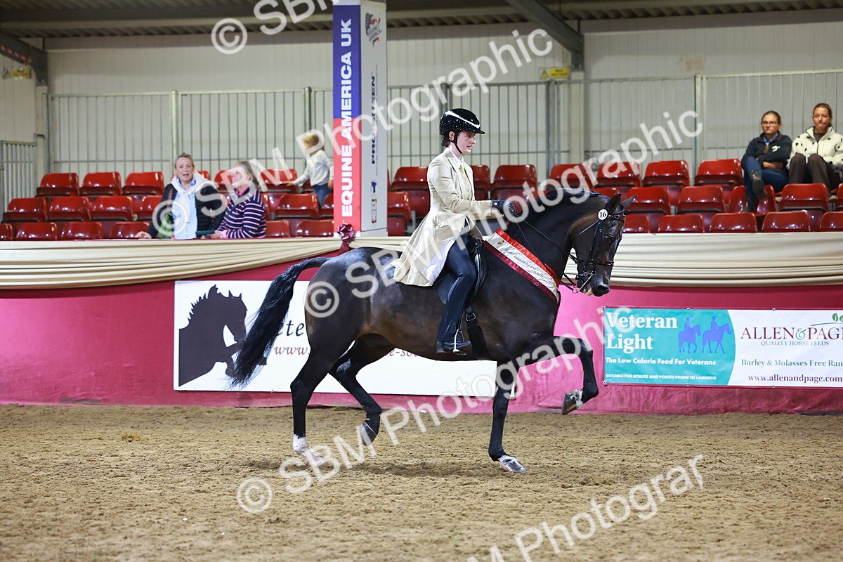 SBM_15573 - Class R - Veteran Champ
