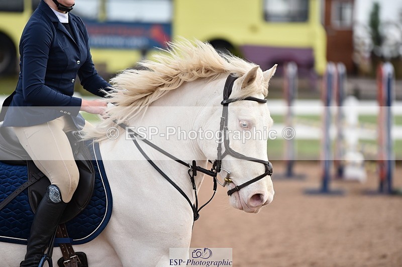 231203A-114056-00934 - Cls 4 Newcomers & 1m Open