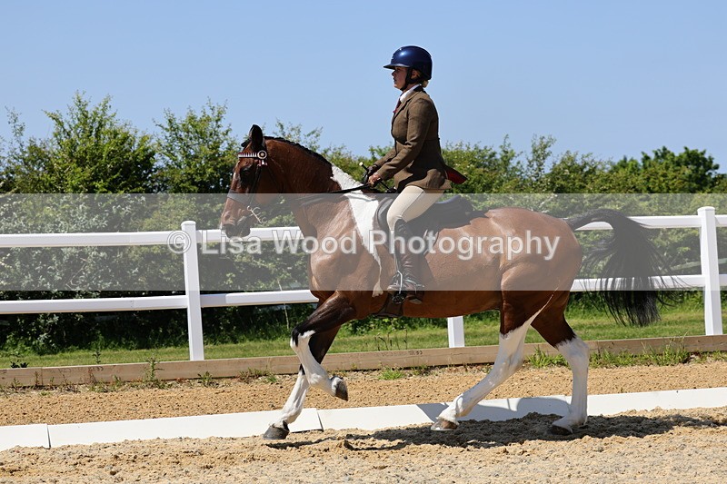 1X9A1894 - Class 12: Ridden Riding Horse/Hack