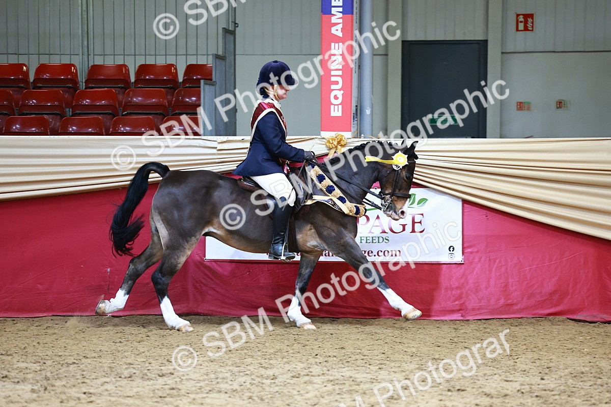 SBM_23513 - Class 904 - Supreme Final - Ridden Diamond