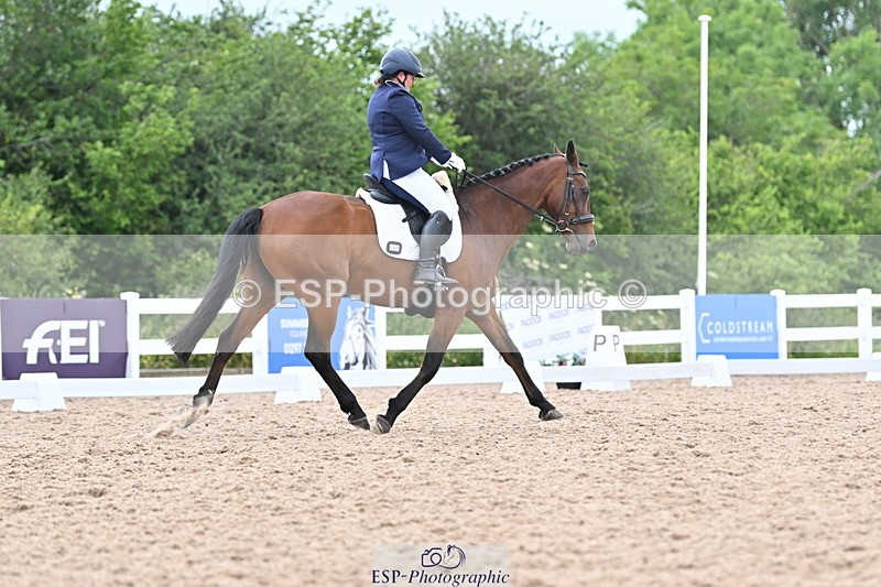 ESP_1238 - Cls 51 BD Elementary 53