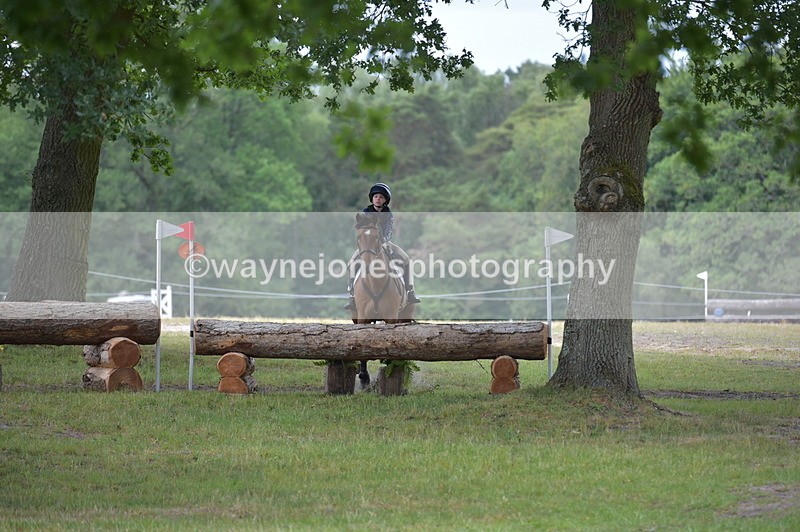 NGP_9149 - Time 12:34 to 12:37