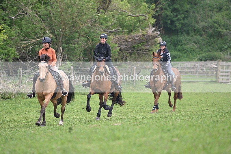 WJ6_2601 - A camera