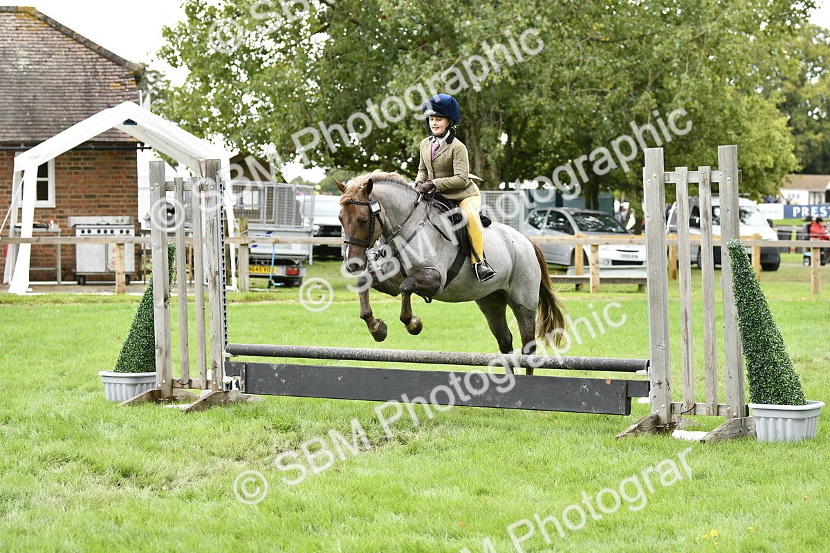 SBM_41321 - S32 - Mountain & Moorland Working Hunter Pony
