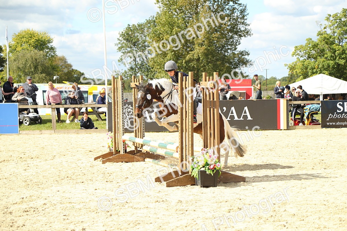 SBM_39500 - J6 - Junior Pony 55cm Championships