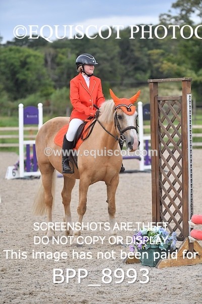 BPP_8993 - CLASS 4 50CM