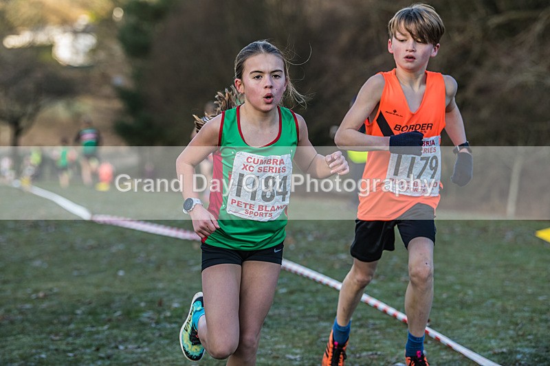 Cumbria XC-204 - Cumbria Cross Country Championships (Junior & Senior Races) Saturday 3rd January 2026