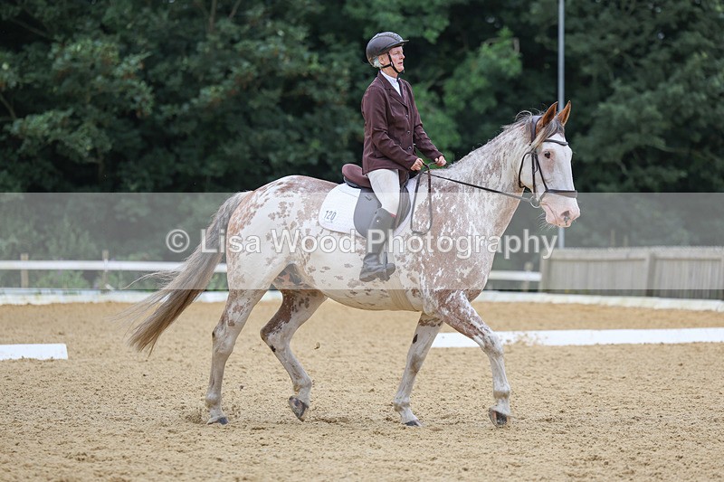 3E7A4915 - Class 1: Intro 4 2024 section A