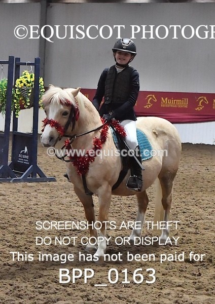 BPP_0163 - CLASS 2 40CM