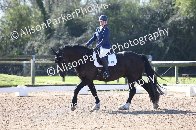 20260318-0129 - Class 2 - Intro 4