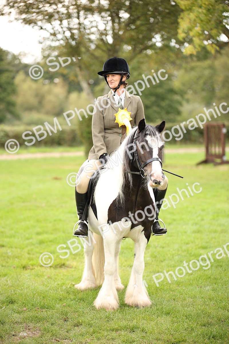 SBM_73590 - S68 - Traditional Cob Ridden