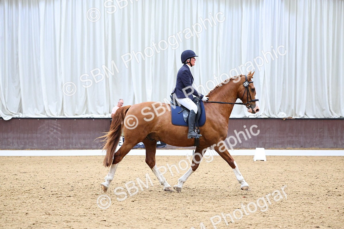 SBM_005137 - Novice 2 & 3