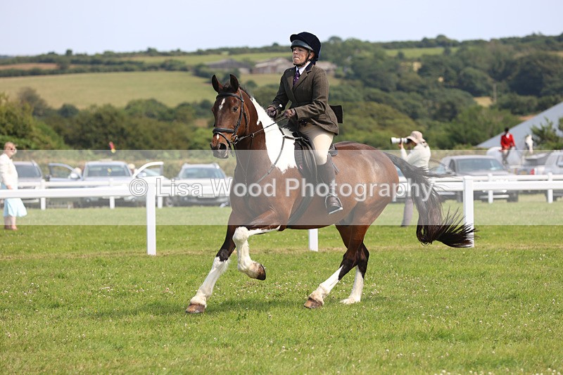JPP_3638 - Class 23: Working Hunter 80cm