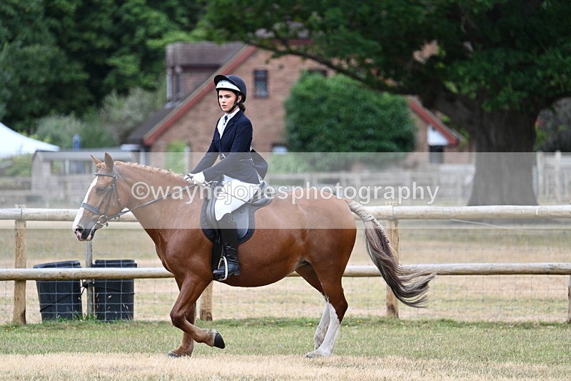 WJ7_0512 - Class 2 Best rider