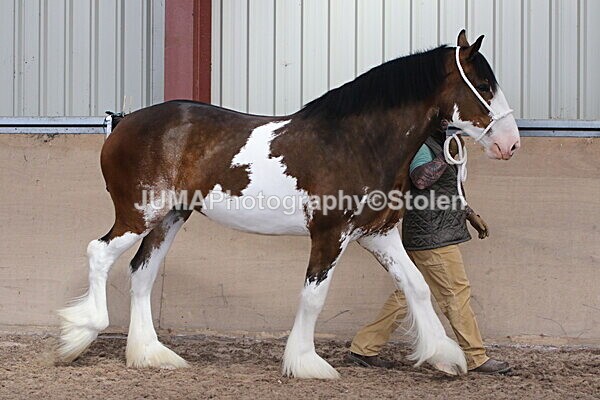 SIAL0157 - Indoor Classes