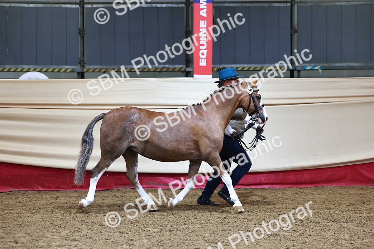 SBM_22120 - Class 902 - Supreme Final - IH Diamond