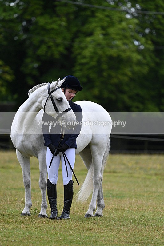 WJ7_6348 - Class 4a Prettiest Mare over 14hh