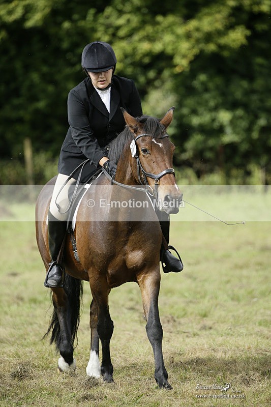 BVRC 120921 440 - Bourne Valley Riding Club UA Dressage & Show Jumping 12/09/21