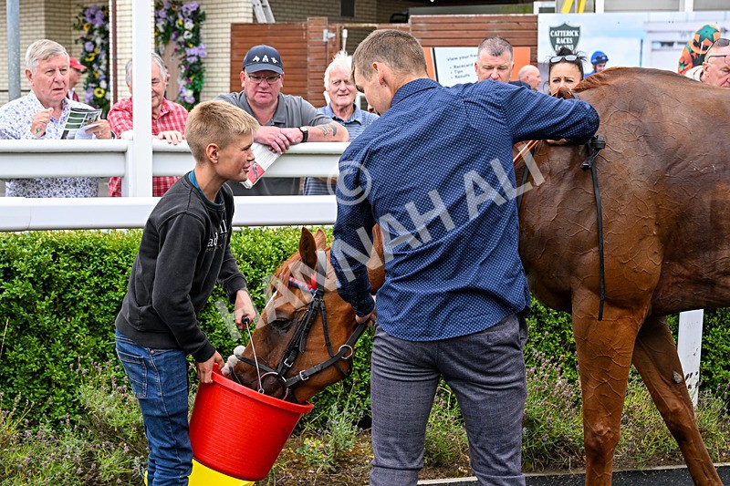 170826-Race 5-Our Absent Friends-5525 - Race 5 16.15pm racingtv.com Handicap