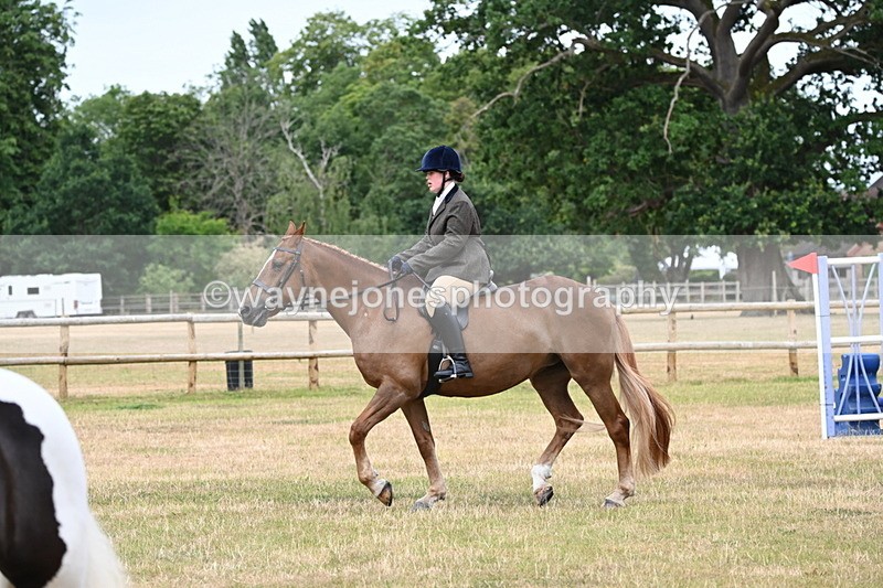 WJ6_3829 - Class 9 Tack & Turnout