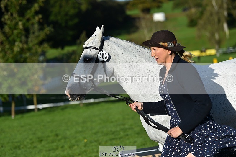 231022-095934-22170 - 403-KILLEA.LARK.GIRL-Joanna.Jones-TrotUp+SJ
