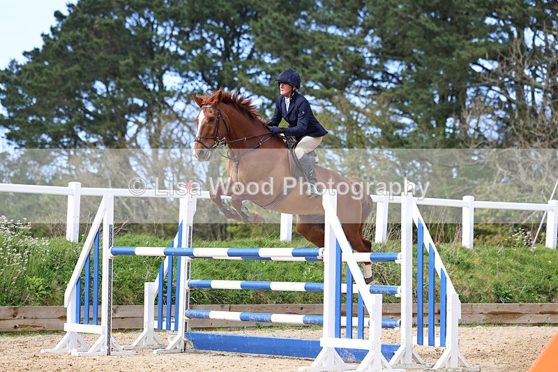 3E7A2107 - Class 8: Senior Foxhunter/1.20 open