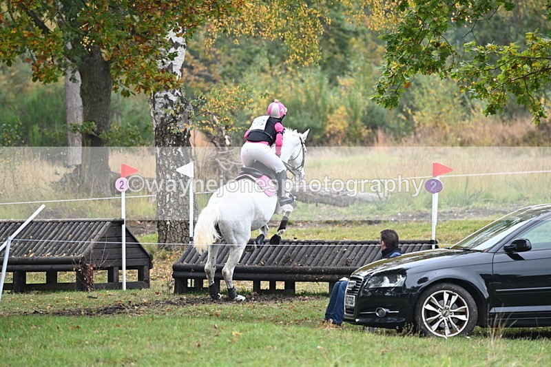 WJ6_2685 - 80cm Cam 1 Time 11:23 to 12:04