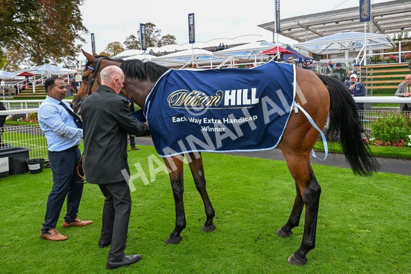 101025-Race 3-Mukhtalif-0224 - Race 3 William Hill Each Way Extra Handicap at York