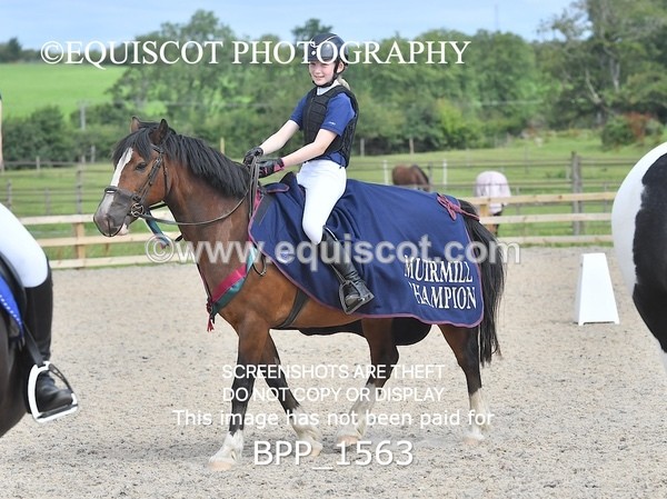 BPP_1563 - DERBY CLASS 3 - 40CM