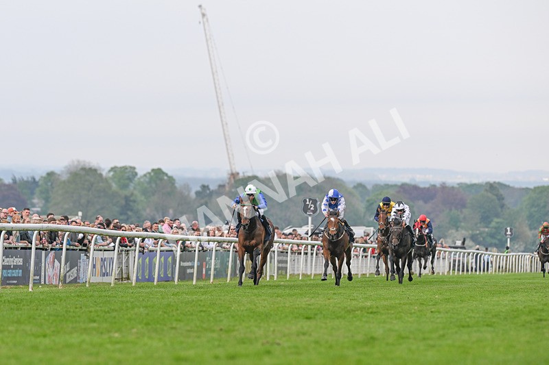 060524-Race 7-Spartan Warrior-2512 - Race 7