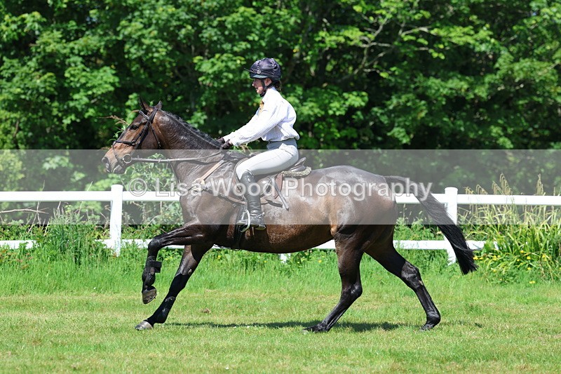 3E7A7068 - Class 30: Novice Working Hunter