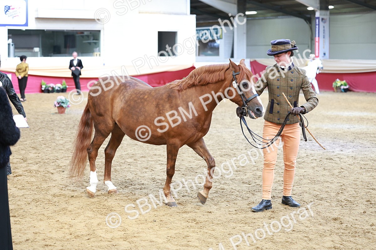 SBM_17365 - Class 951 - M&M IH Supreme Final