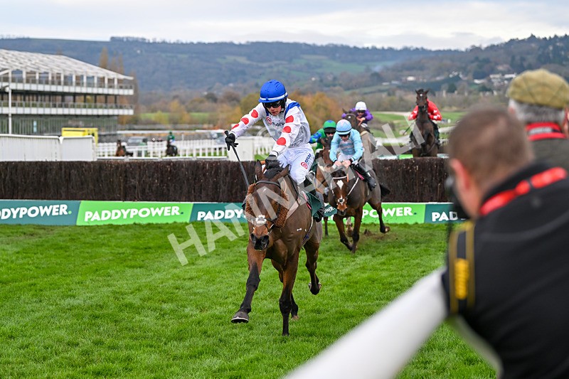 161124-Race 4-Il Ridoto-0449 - Race 4