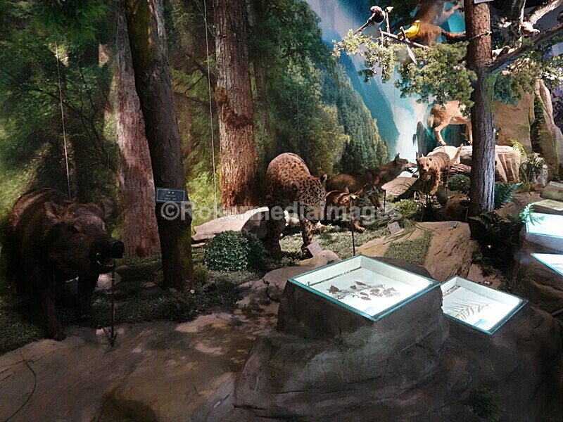 CHINA__0418 - China 2019