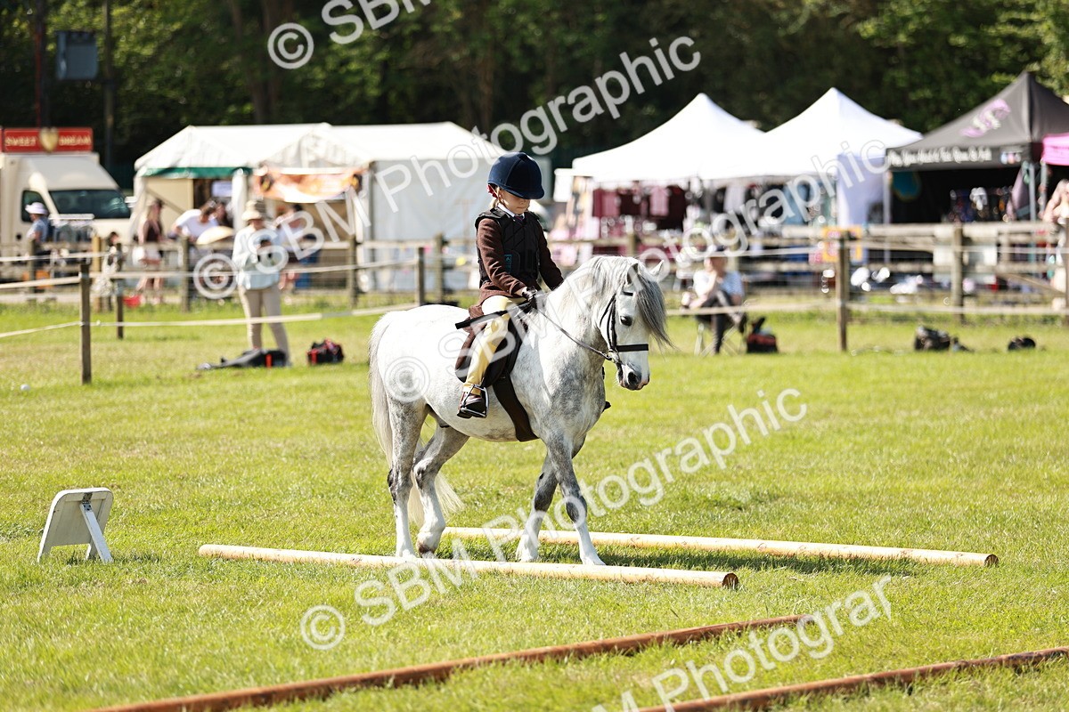 SBM_12776 - Class 106-107 - BSPS LIHS Working Sports Pony