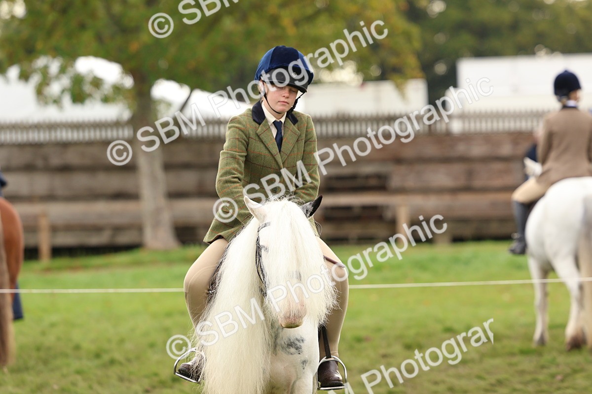 SBM_56700 - S40 - Starters Ridden Showing