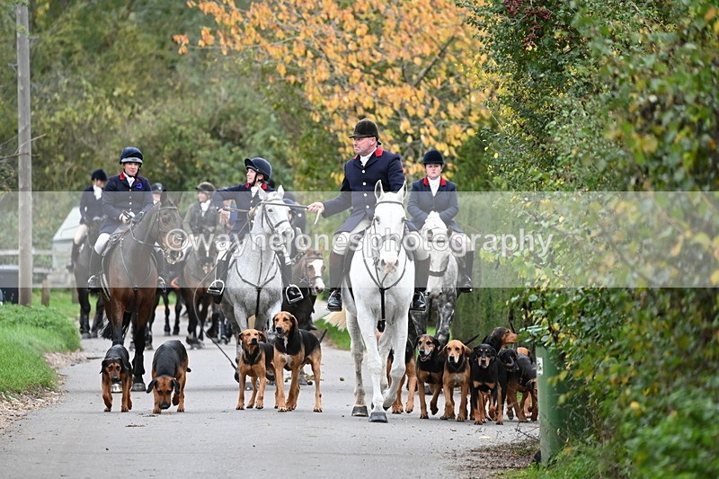 WJ6_8293 - Walk Home..