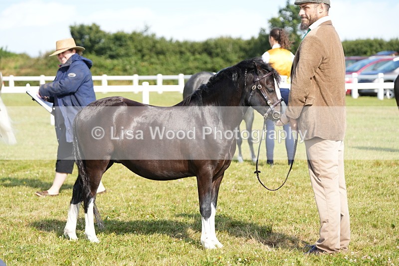 DSC05077 - Class 48: NPS M&M 2/3 year olds