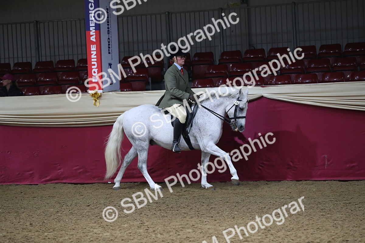 SBM_10396 - Class 102 Equitation (best rider) Adult